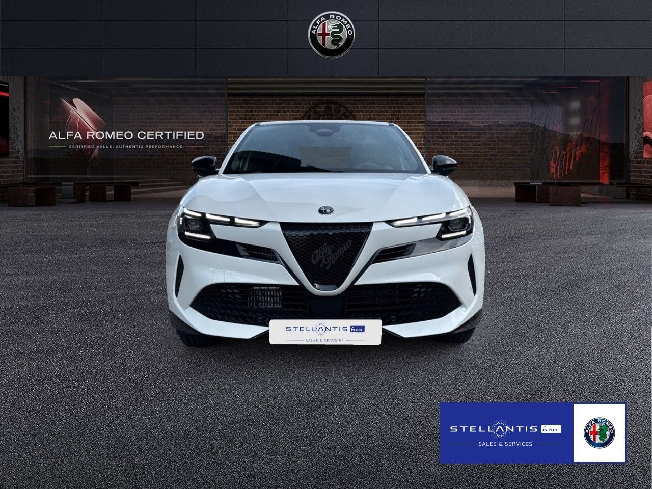 Alfa Romeo Junior - Bild 2