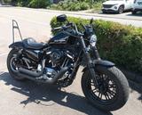 Harley-Davidson XL Sportster 1200 forty eight