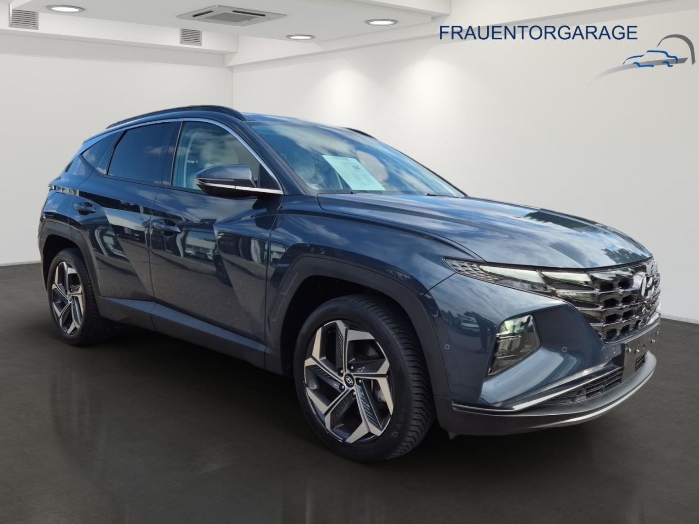 Fahrzeugabbildung Hyundai Tucson Prime Plug-In Hybrid 4WD Pano+ESC+Leder+N