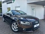 Audi A5 Cabriolet 2.0 TFSI/1HD/LEDER/AUT/SHZ/PDC/LMF/ - Audi A5 aus 2010: Cabrio