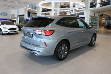 Fahrzeugabbildung Ford Kuga ST-Line X   B&O Sound/LED/Navi/Kamera