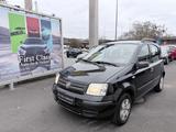 Fiat Panda 1.2 8V Dynamic Tüv/Service A/C Klima - Fiat Panda: Dynamic