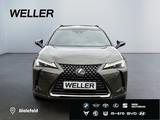 Lexus UX 250h Style+ Edition *LED*CAM*ACC*SHZ*Totwinke - Lexus: L