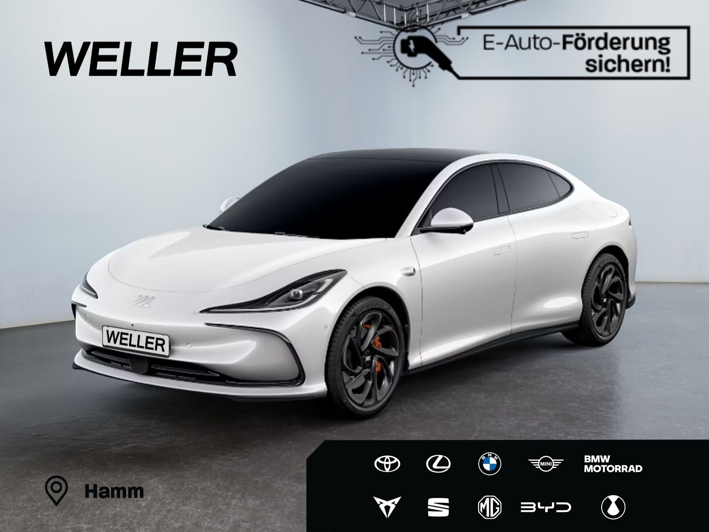 MG Andere - Bild 1