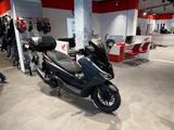 Honda Forza 125 2025 Cynos Gray *sofort verfügbar* - HONDA CY