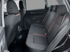 SKODA Karoq 4x4 AHK NAVI DCC Standh. Kamera PDC LED 19