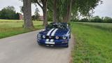 Ford Mustang GT Cabrio 4,6l V8 - Schaltgetriebe - Ford Mustang aus 2008: V6