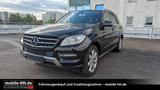 Mercedes-Benz ML 350 CDI BlueTec /SHZ/KAMERA/TOTWINKEL - Mercedes-Benz ML 350 Gebrauchtwagen in Hamburg