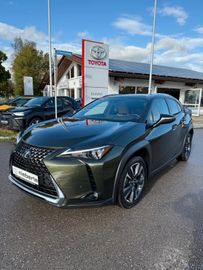 Lexus UX - 10