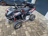 Beeline Bestia 5.5 Lof - BEELINE BENZIN QUAD