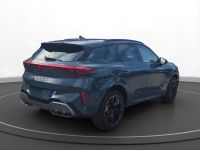 Cupra Terramar - Vorschau Bild 3