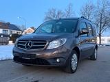 Mercedes-Benz Citan Behindertenbeförderung Panorama-Dach - gebrauchte Mercedes-Benz Citan aus dem Jahr 2018