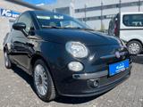 Fiat 500 Lounge/neue Allwetterrei./Zahnriem. erneuert - Fiat 500: 500er