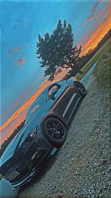 Ford Mustang 5.0 V8Black Shadow Edition - EU Modell - Ford Mustang: Edition