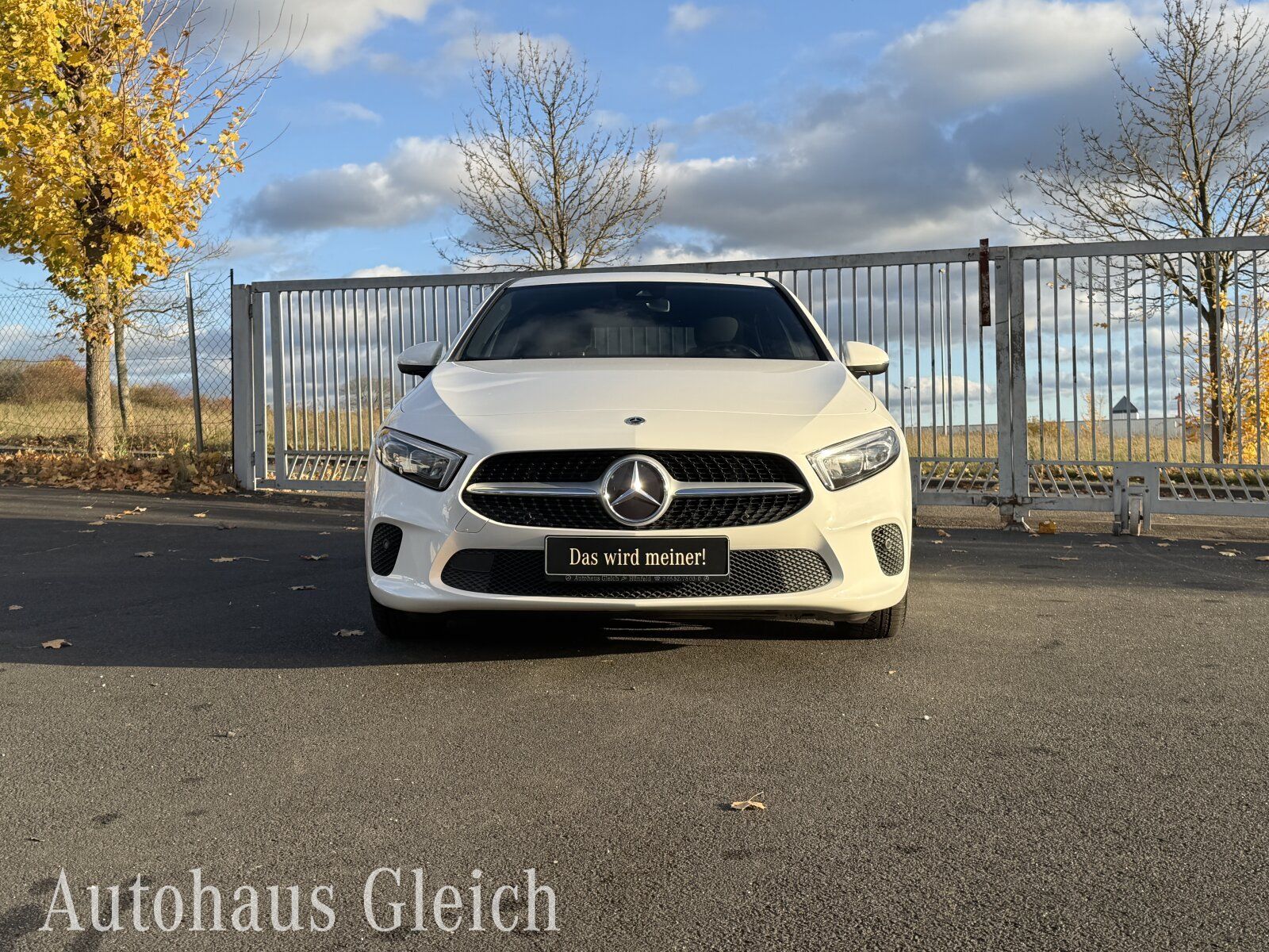 Fahrzeugabbildung Mercedes-Benz A 180 Progressive (EURO 6d-TEMP) Navi/Klima/LED