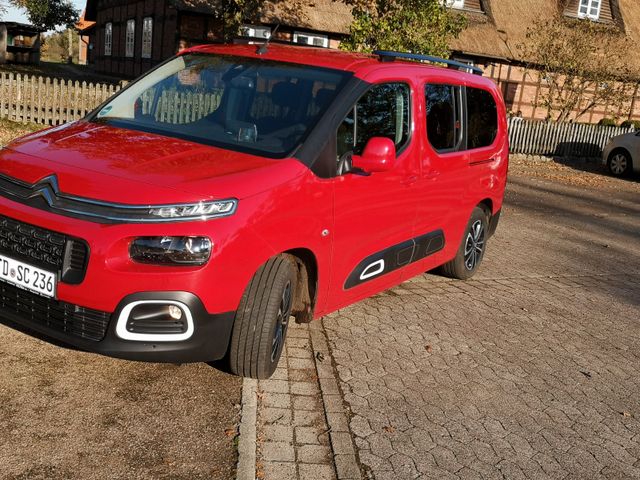 Citroën Berlingo BlueHDi 130 S&S SHINE XL EAT8 SHINE