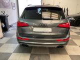 Audi SQ5 3.0 TDI,21z,Kam,ACC,AHK,SH,Standheiz - Audi SQ5: TDI