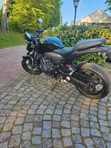 Honda Hornet 600 pc 41 - HONDA HORNET 600 PC41