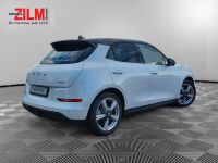 GWM Ora 03 - Vorschau Bild 6