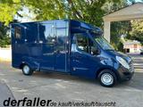 Renault Master 1-2 Pferde Hengstversion - Tier- & Pferdetransport für 2 Pferde