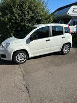 Fiat Panda  - Fiat Panda von privat