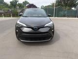 Toyota C-HR 2.0-l-VVTi Hybrid Team Deutschland Team... - Toyota C-HR: Team Deutschland