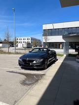 BMW 428i Cabrio Sport Line / M Paket 
