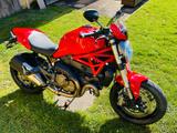 Ducati Monster 821  *Zahnriemen NEU!* - DUCATI MONSTER 821