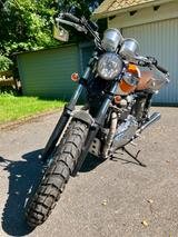 Triumph Bonneville T100 - Angebote