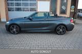 BMW 230i Sport-Aut. Cabrio *M-SPORTPAKET*H&K*KAMERA* - : Cabrio, Sportpaket