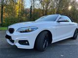 BMW 230i Stept Cabrio MSportp Navi PDC MFL Leder H&K - gebrauchte BMW 230 aus dem Jahr 2018