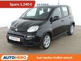 Fiat Panda 1.0 Mild-Hybrid*KLIMA*DAB*GARANTIE*  - Gebrauchtwagen in Chemnitz
