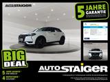 DS Automobiles DS 3 Crossback E-Tense Performance Line+ LED*SHZ - DS Automobiles DS3 Crossback aus 2023