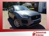 Jaguar E-Pace D150 S AWD Autom. Leder LED - Jaguar: 150