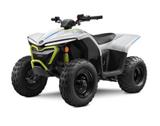 CFMOTO C Force 110 EV - Elektro - kostenloser Versand - Angebote entsprechen deinen Suchkriterien