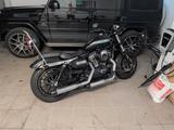 SWM Stormbreaker  / Sportster Clone 