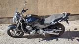 Honda Hornet CB 600 F / PC36 - schwarz - Honda CB 600 S Hornet