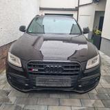 Audi SQ5 3.0 TDI competition tiptronic quattro - - Audi SQ5 von privat