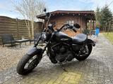 Harley-Davidson Sportster XL 1200CB +LED-DAYMAKER+REMUS+5HD - HARLEY-DAVIDSON SPORTSTER XL 1200CB