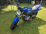 Suzuki GSE 500 *TÜV neu* - Offers matching your search criteria