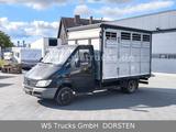 Mercedes-Benz Sprinter 411 CDI Viehtransporter - Mercedes-Benz Sprinter 411 cdi