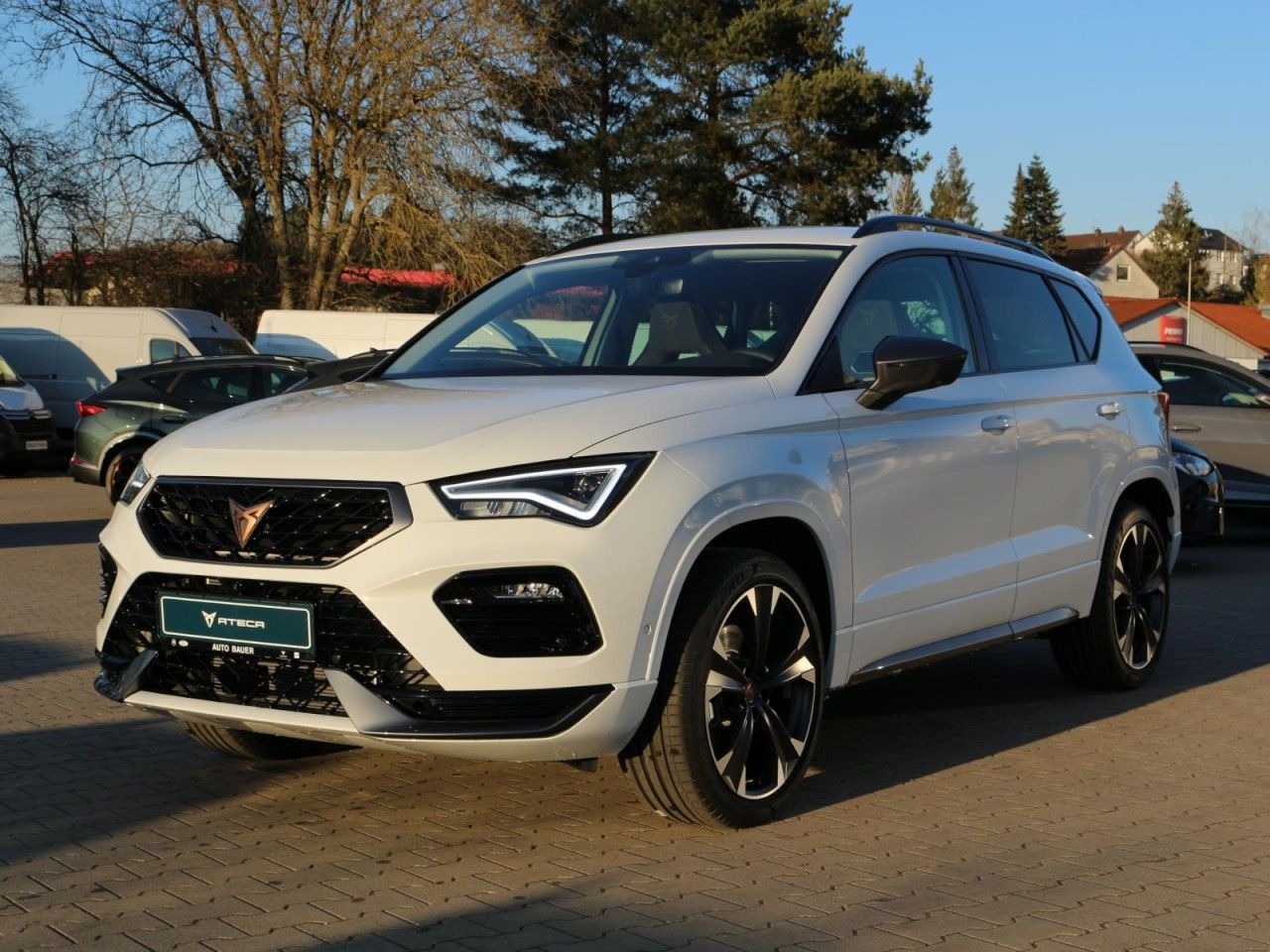 Fahrzeugabbildung CUPRA Ateca 2.0 TSI DSG 4Drive