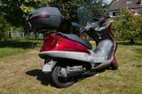 Honda FES250 - ROLLER 250