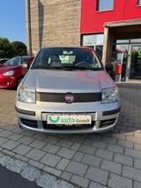 Fiat Panda 1.2 8V Klima nur 41.000 KM !!! - Fiat Panda: Km0