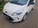 Ford KA Kleinwagen - Ford Ka/Ka+ in Osnabrück