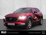 Mazda CX-30 2025 2.5L e-SKYACTIV G 140ps 6MT FWD Exclu