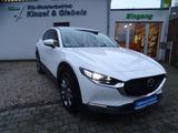 Mazda CX-30 Navi LED Kamera Head Up - weiße Mazda CX-30