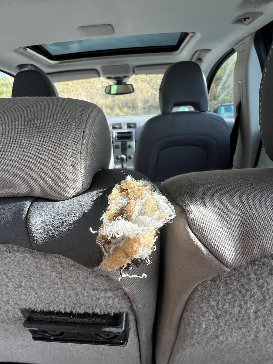 Volvo V50 2004 — photo 6