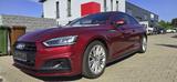 Audi A5 Coupe quattro sport*LEDER*NAVI*1.HAND - Audi A5 in Augsburg
