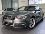 Audi S5 Coupe 3.0 TFSI quattro | D-FZG | ACC | B&O | - Audi S5 mit Benzin-Antrieb: Leder, Sportwagen